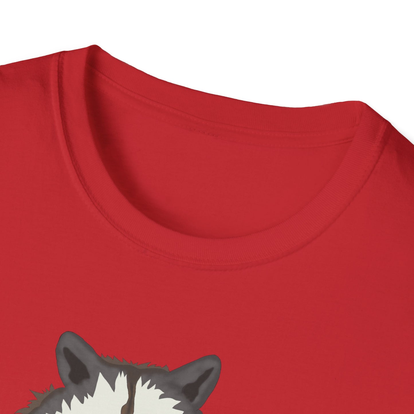 Funny Raccoon Trash Panda Tee