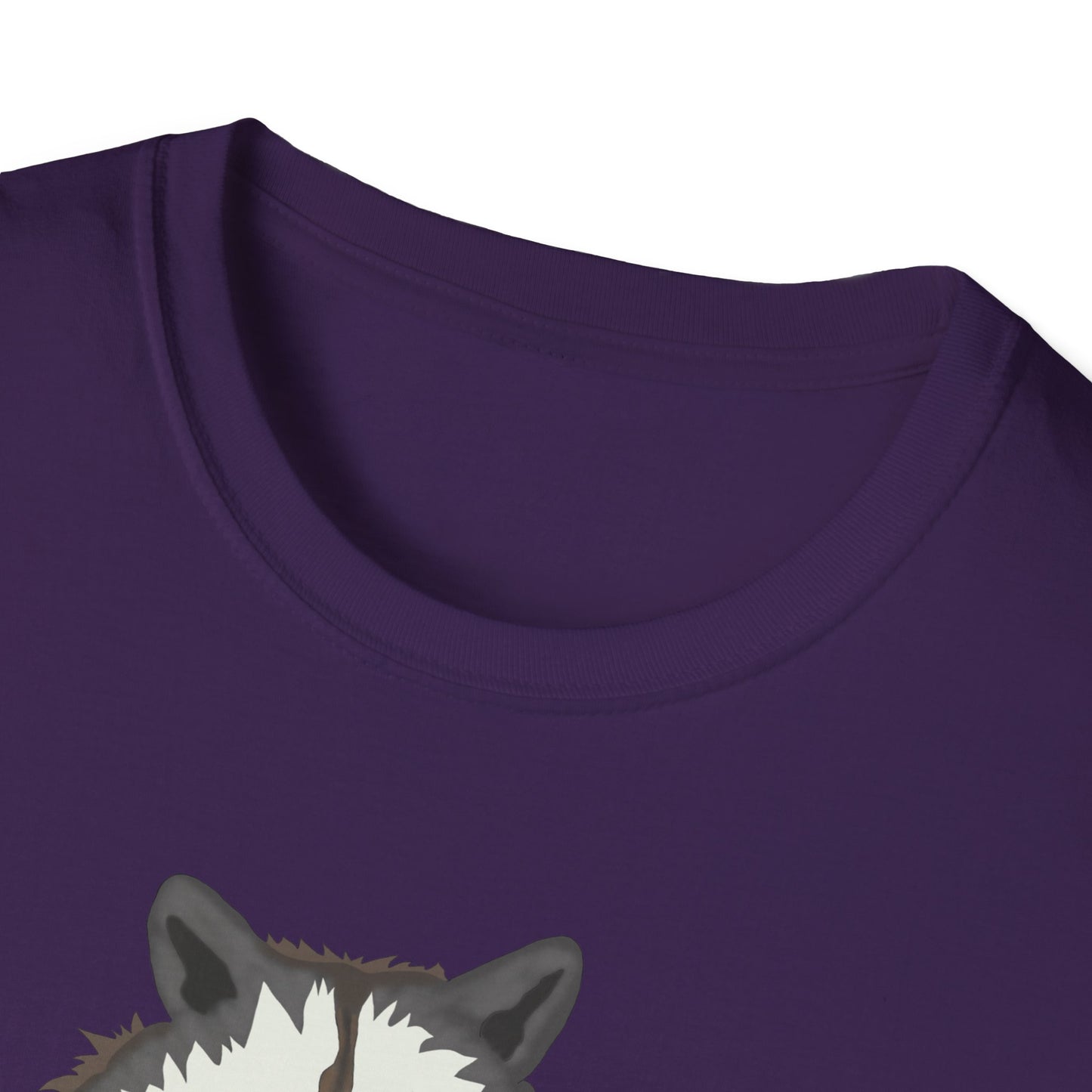 Funny Raccoon Trash Panda Tee
