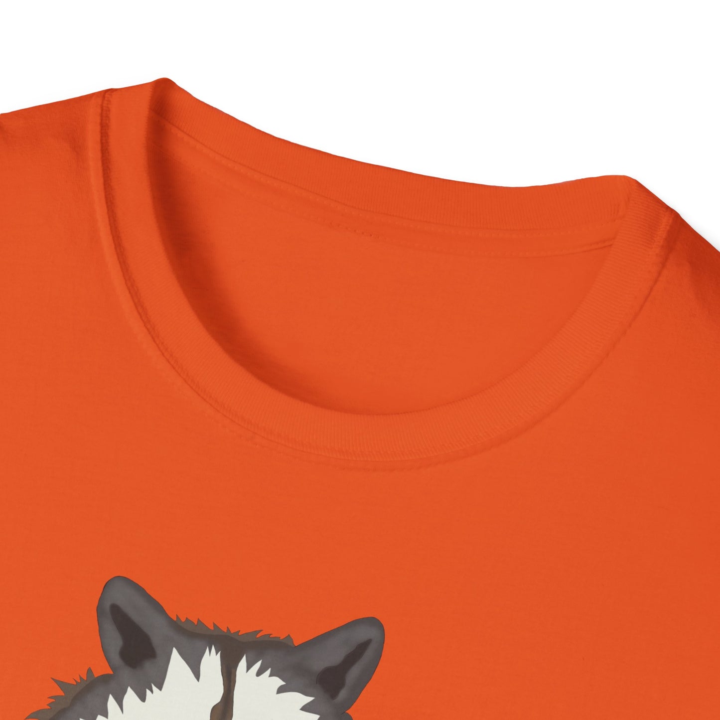 Funny Raccoon Trash Panda Tee